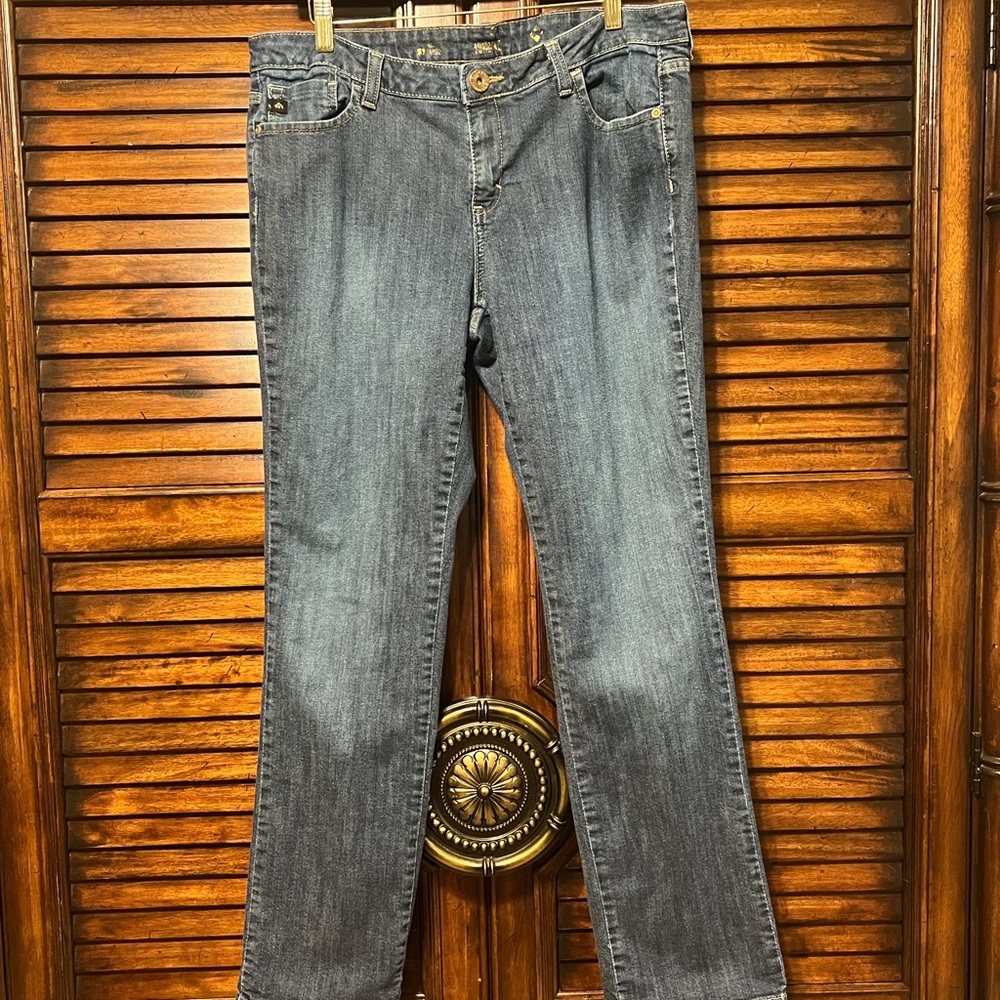 Jordache Premium Y2K Fashion Jeans.